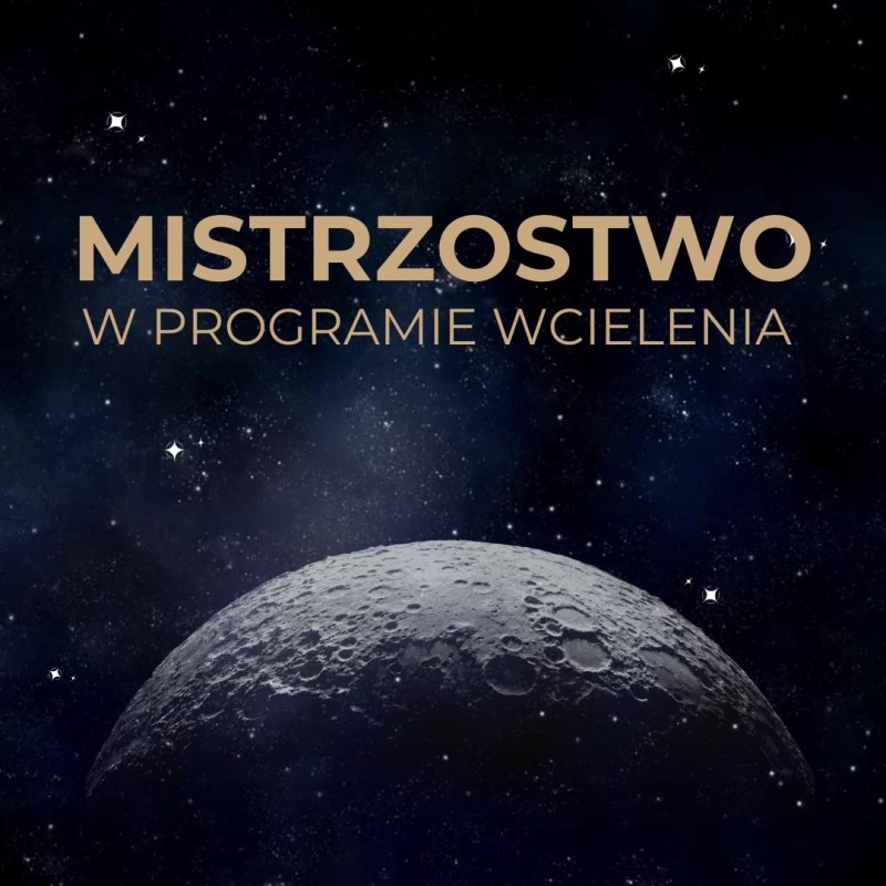Mistrzostwo w programie wcielenia